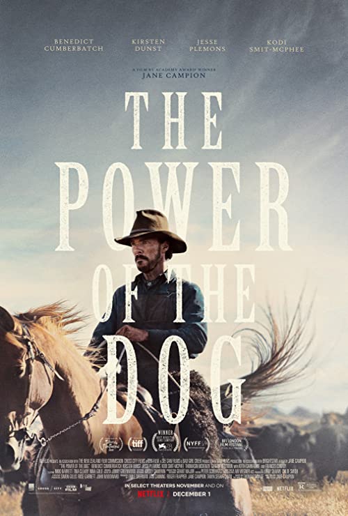 The.Power.of.the.Dog.2021.1080p.UHD.BluRay.DDP7.1.DoVi.x265-NTb – 10.3 GB