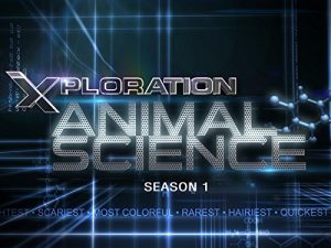 Xploration.Animal.Science.S02.720p.AMZN.WEB-DL.DDP2.0.H.264-SiGMA – 5.2 GB