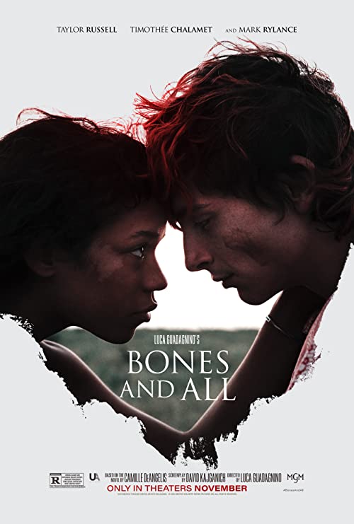 Bones.And.All.2022.2160p.AMZN.WEB-DL.DDP5.1.HDR.H.265-FLUX – 13.7 GB