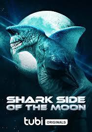 Shark.Side.of.the.Moon.2022.720p.TUBI.WEB-DL.AAC2.0.H.264-PFa – 1.6 GB