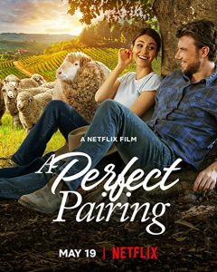 A.Perfect.Pairing.2022.2160p.NF.WEB-DL.DDP.5.1.Atmos.DoVi.HDR.HEVC-WiNE – 10.1 GB
