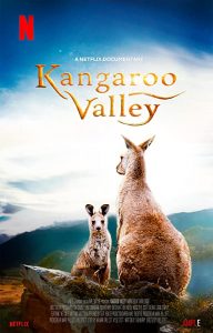 Kangaroo.Valley.2022.1080p.NF.WEB-DL.DDP5.1.H.264-NTb – 3.9 GB