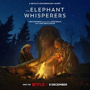 The.Elephant.Whisperers.2022.1080p.NF.WEB-DL.DDP5.1.Atmos.x264-NPMS – 2.4 GB