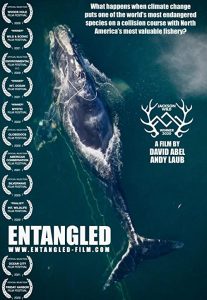 Entangled.The.Race.to.Save.Right.Whales.from.Extinction.2020.720p.BluRay.x264-ORBS – 4.0 GB