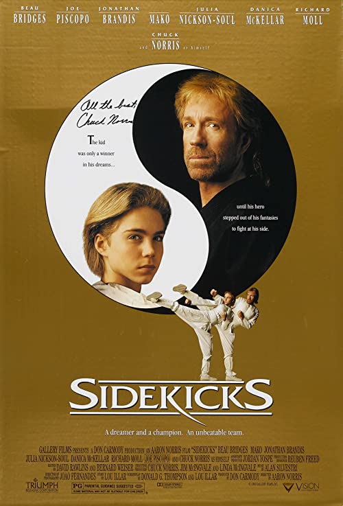 Sidekicks.1992.1080p.Blu-ray.Remux.AVC.DD.2.0-HDT – 20.0 GB