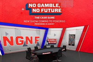 No.Gamble.No.Future.S01.1080p.WEB-DL.AAC2.0.H.264-RAiSY – 26.9 GB