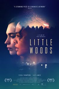 Little.Woods.2018.720p.WEB.h264-iNTENSO – 1.0 GB