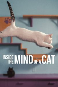Inside.the.Mind.of.a.Cat.2022.2160p.NF.WEB-DL.DDP.5.1.DoVi.HDR.HEVC-KiTTY – 8.3 GB