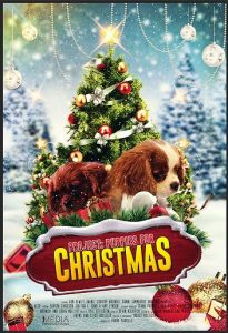 Project.Puppies.for.Christmas.2019.1080p.AMZN.WEB-DL.DDP2.0.H.264-tobias – 4.8 GB