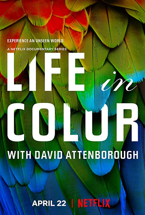 Life.in.Colour.with.David.Attenborough.S01.2160p.NF.WEB-DL.DDP5.1.DV.HDR.H.265-BOUNTYTOOBIGTOIGNORE – 18.2 GB