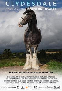 Clydesdale.Saving.The.Greatest.Horse.2020.1080p.WEB.H264-CBFM – 1.8 GB