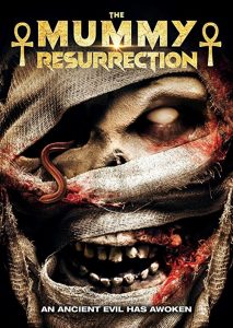 The.Mummy-Resurrection.2022.1080p.H264.EAC3.AMZN.WEB-DL.BobDobbs – 3.3 GB