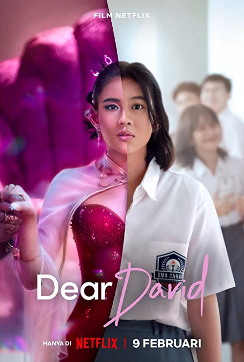 Dear.David.2023.1080p.NF.WEB-DL.DD+5.1.H.264-KOGi – 4.6 GB