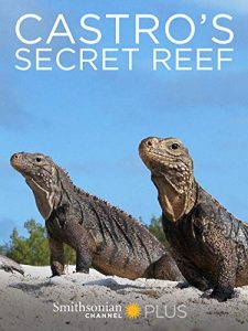Castros.Secret.Reef.2017.720p.WEB.h264-CAFFEiNE – 993.6 MB