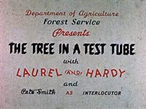 The.Tree.in.a.Test.Tube.1943.720p.BluRay.x264-BiPOLAR – 665.7 MB
