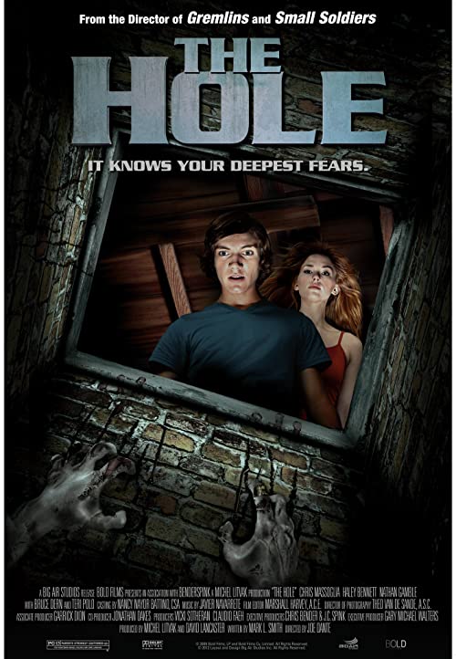 The.Hole.2009.1080p.BluRay.REMUX.AVC.DTS-HD.MA.5.1-TRiToN – 18.6 GB