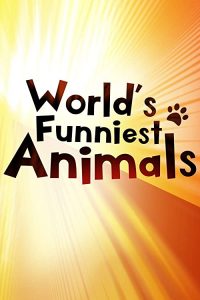 Worlds.Funniest.Animals.S03.1080p.CW.WEB-DL.AAC2.0.H.264-LULW – 19.8 GB