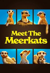 Meet.the.Meerkats.2020.1080p.CS.WEB-DL.AAC2.0.H.264-ZTR – 2.2 GB