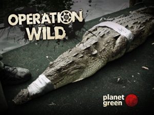 Operation.Wild.S01.720p.AMZN.WEB-DL.DDP2.0.H.264-KAIZEN – 6.9 GB