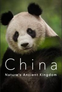 China.Natures.Ancient.Kingdom.S01.1080p.AMZN.WEB-DL.DDP2.0.H.264-NTb – 9.9 GB