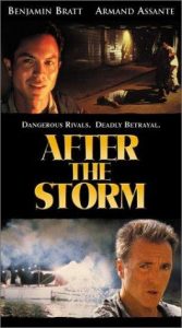 After.The.Storm.2001.1080p.WEB.H264-DiMEPiECE – 9.0 GB