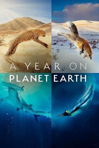 A.Year.On.Planet.Earth.S01.1080p.ITV.WEBRip.AAC2.0.x264-MiU – 15.8 GB