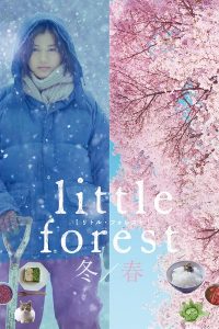 Little.Forest.Winter.Spring.2015.720p.BluRay.DD5.1.x264-VietHD – 4.8 GB