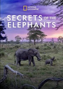 Secrets.of.the.Elephants.S01.2160p.DSNP.WEB-DL.DDP5.1.DV.HDR.H.265-FLUX – 17.0 GB