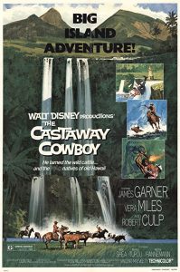 The.Castaway.Cowboy.1974.1080p.WEBRip.DD+.2.0.x264 – 9.0 GB