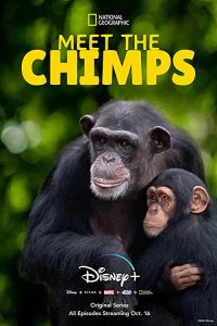 Meet.The.Chimps.S01.1080p.DSNP.WEB-DL.DD+5.1.H.264-playWEB – 13.3 GB