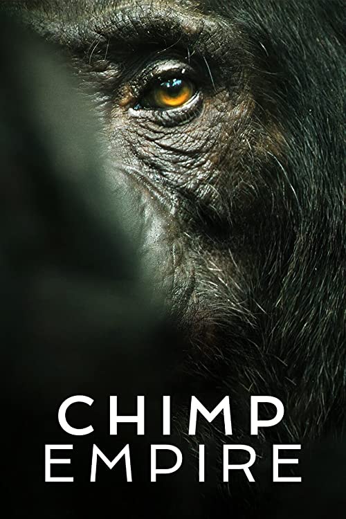 Chimp.Empire.S01.1080p.NF.WEB-DL.DDP5.1.Atmos.x264-CMRG – 9.8 GB