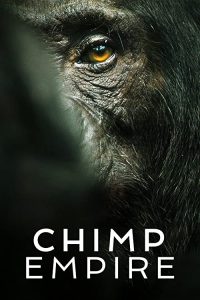 Chimp.Empire.S01.1080p.NF.WEB-DL.DDP5.1.Atmos.HDR.DV.HEVC-CMRG – 7.0 GB