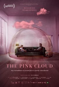 The.Pink.Cloud.2021.1080p.WEB.H264-DiMEPiECE – 3.7 GB