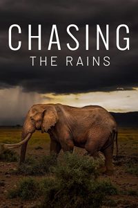 Chasing.the.Rains.S01.1080p.AMZN.WEB-DL.DD+5.1.H.264-playWEB – 14.0 GB
