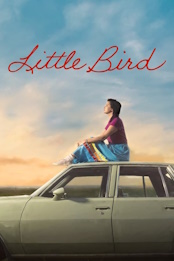 Little.Bird.S01E01.1080p.WEB.H264-GGEZ – 2.2 GB
