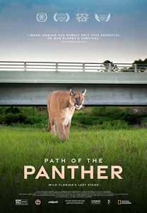 Path.of.the.Panther.2022.1080p.DSNP.WEB-DL.DDP5.1.H.264-FLUX – 4.6 GB