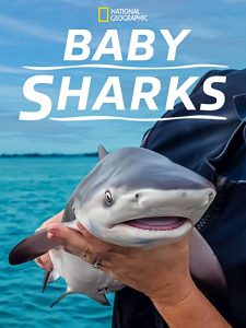 Baby.Sharks.2022.1080p.DSNP.WEB-DL.H264.DDP5.1-LeagueWEB – 2.4 GB