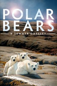 Polar.Bears-A.Summer.Odyssey.2012.1080p.Blu-ray.3D.Remux.AVC.DTS-HD.HR.5.1-KRaLiMaRKo – 13.9 GB