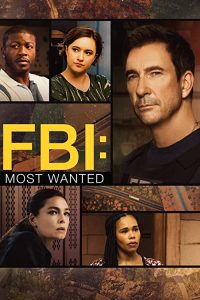 FBI.Most.Wanted.S04.720p.AMZN.WEB-DL.DDP5.1.H.264-NTb – 29.9 GB