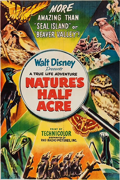 Natures.Half.Acre.1951.1080p.DSNP.WEB-DL.H264.AAC-LeagueWEB – 2.0 GB