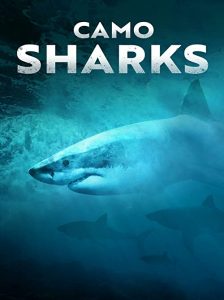 Camo.Sharks.2022.1080p.DSNP.WEB-DL.H264.DDP5.1-LeagueWEB – 2.5 GB