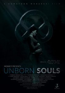 The.Unborn.Soul.2023.1080p.NF.WEB-DL.DDP5.1.x264-PTerWEB – 4.6 GB