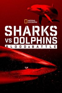 Sharks.vs.Dolphins.Blood.Battle.2020.1080p.DSNP.WEB-DL.H264.DDP5.1-LeagueWEB – 2.6 GB