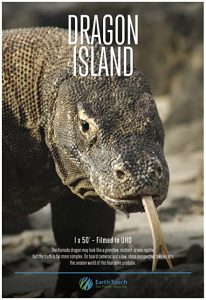 Dragon.Island.2016.1080p.AMZN.WEB-DL.DDP2.0.H.264-SCOPE – 4.2 GB