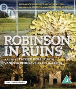 Robinson.in.Ruins.2010.1080p.AMZN.WEB-DL.DDP2.0.H.264-SCOPE – 6.8 GB