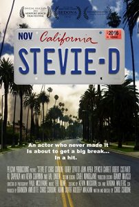 Stevie.D.2016.720p.WEB.H264-DiMEPiECE – 2.5 GB