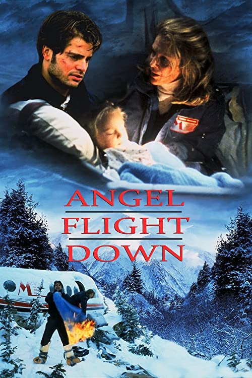 Angel.Flight.Down.1996.1080p.WEB.H264-DiMEPiECE – 9.3 GB