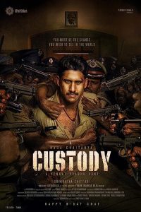 Custody.2023.1080p.AMZN.WEB-DL.DD+5.1.H.264-playWEB – 10.6 GB