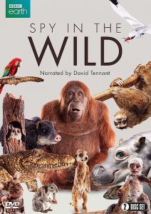 Spy.in.the.Ocean.S01.720p.iP.WEB-DL.AAC2.0.H.264-turtle – 8.4 GB