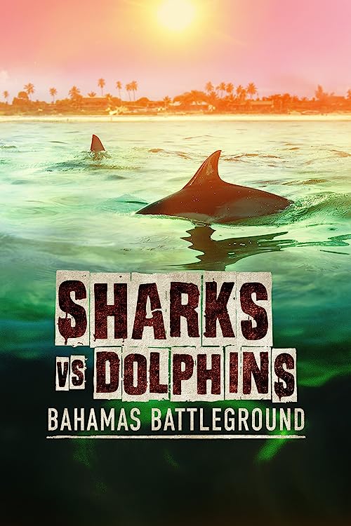 Sharks Vs. Dolphins: Bahamas Battleground